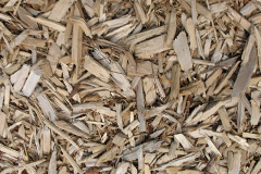 biomass boilers Wierton
